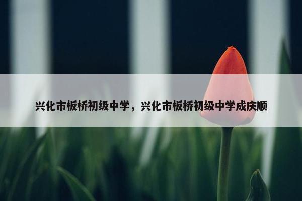 兴化市板桥初级中学，兴化市板桥初级中学成庆顺