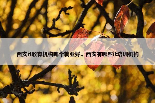 西安it教育机构哪个就业好，西安有哪些it培训机构