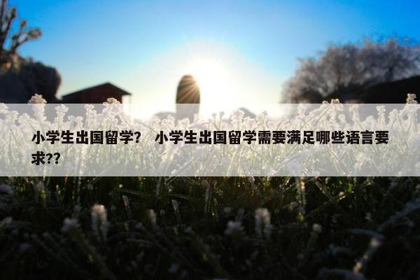 小学生出国留学？ 小学生出国留学需要满足哪些语言要求?？