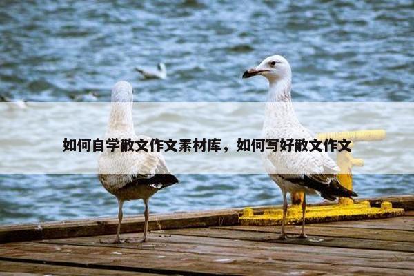 如何自学散文作文素材库，如何写好散文作文