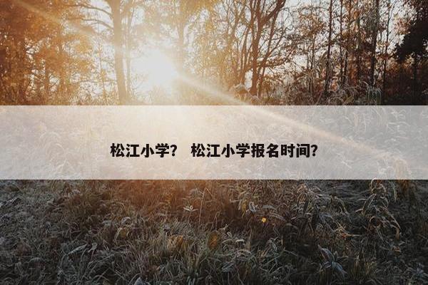 松江小学？ 松江小学报名时间？
