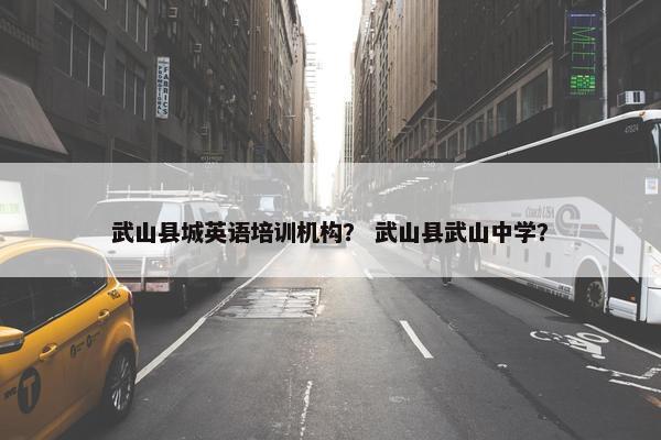 武山县城英语培训机构？ 武山县武山中学？