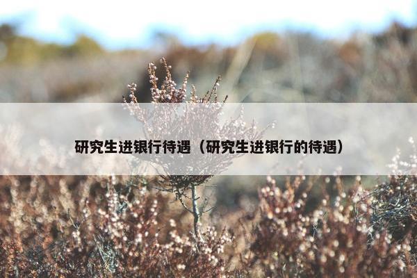 研究生进银行待遇（研究生进银行的待遇）