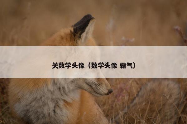 关数学头像（数学头像 霸气）