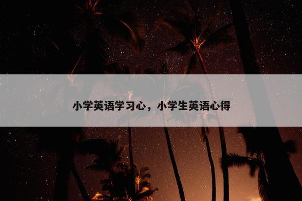 小学英语学习心，小学生英语心得