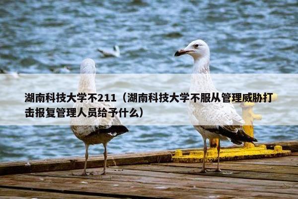 湖南科技大学不211（湖南科技大学不服从管理威胁打击报复管理人员给予什么）