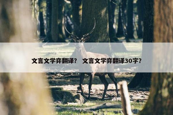 文言文学弈翻译？ 文言文学弈翻译30字？