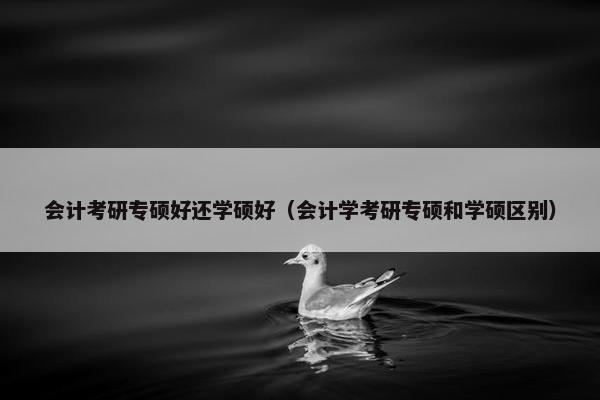 会计考研专硕好还学硕好（会计学考研专硕和学硕区别）