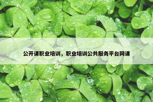 公开课职业培训，职业培训公共服务平台网课