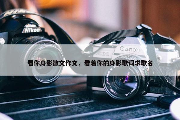 看你身影散文作文，看着你的身影歌词求歌名