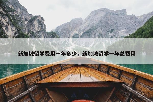 新加坡留学费用一年多少，新加坡留学一年总费用