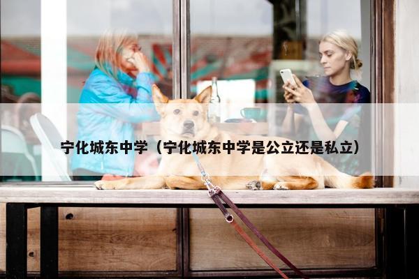 宁化城东中学（宁化城东中学是公立还是私立）