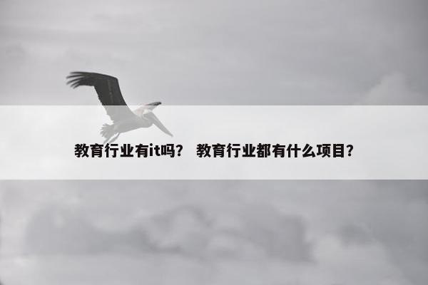 教育行业有it吗？ 教育行业都有什么项目？