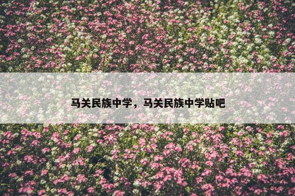 马关民族中学，马关民族中学贴吧