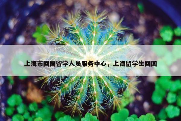 上海市回国留学人员服务中心，上海留学生回国