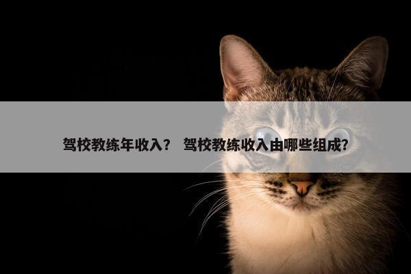 驾校教练年收入？ 驾校教练收入由哪些组成？