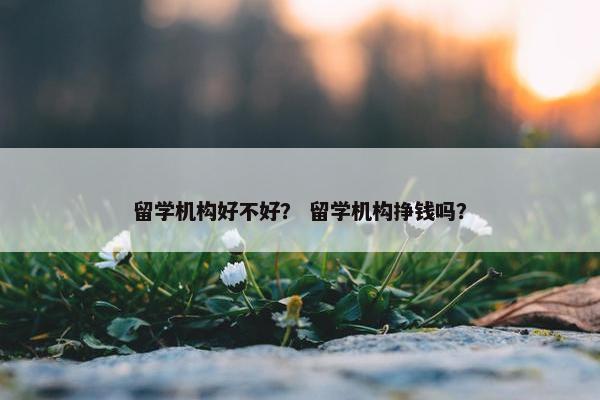 留学机构好不好？ 留学机构挣钱吗？