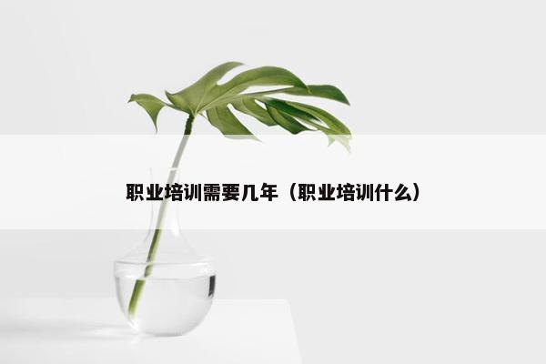 职业培训需要几年（职业培训什么）