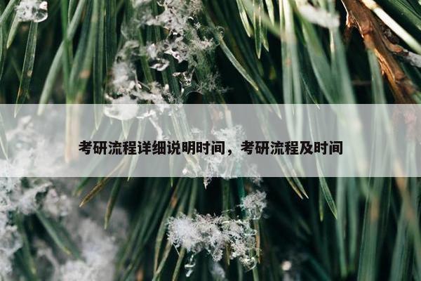 考研流程详细说明时间，考研流程及时间