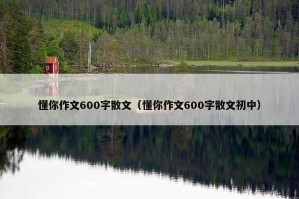 懂你作文600字散文（懂你作文600字散文初中）
