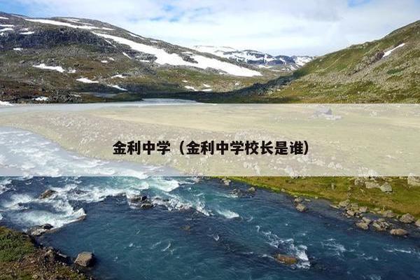金利中学（金利中学校长是谁）