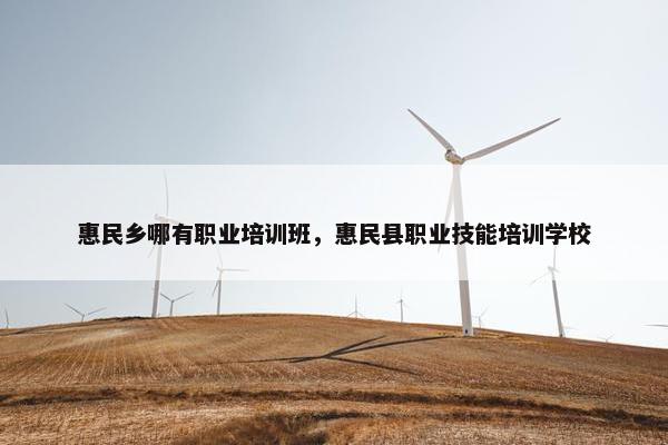 惠民乡哪有职业培训班，惠民县职业技能培训学校