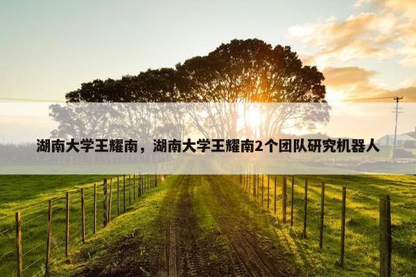 湖南大学王耀南，湖南大学王耀南2个团队研究机器人