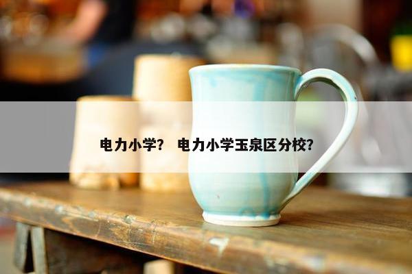 电力小学？ 电力小学玉泉区分校？