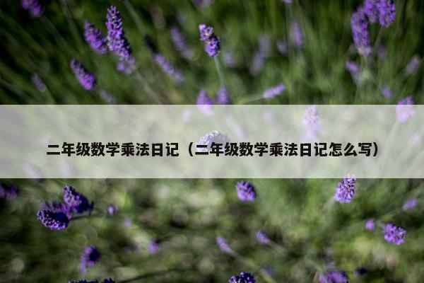 二年级数学乘法日记（二年级数学乘法日记怎么写）