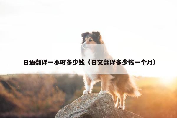 日语翻译一小时多少钱（日文翻译多少钱一个月）
