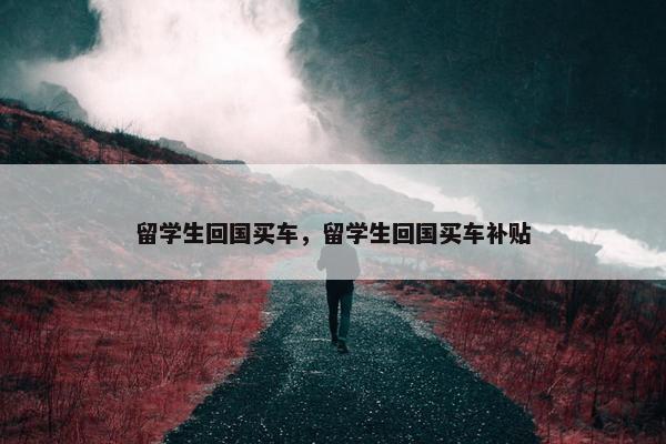 留学生回国买车，留学生回国买车补贴