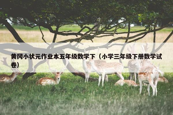 黄冈小状元作业本五年级数学下（小学三年级下册数学试卷）