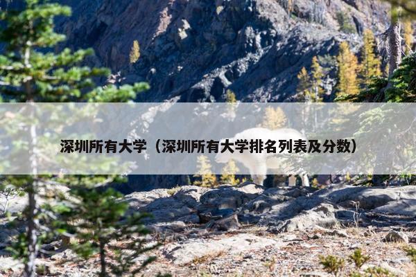 深圳所有大学（深圳所有大学排名列表及分数）