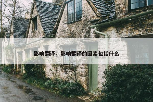 影响翻译，影响翻译的因素包括什么