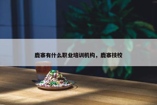 鹿寨有什么职业培训机构，鹿寨技校