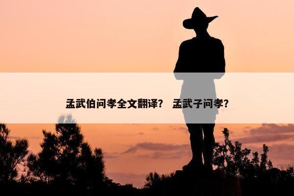 孟武伯问孝全文翻译？ 孟武子问孝？