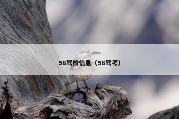 58驾校信息（58驾考）