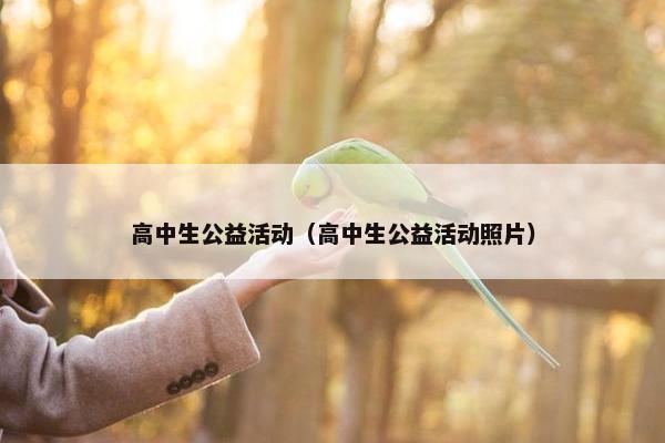 高中生公益活动（高中生公益活动照片）