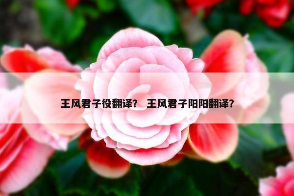 王风君子役翻译？ 王风君子阳阳翻译？