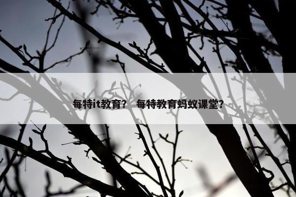 每特it教育？ 每特教育蚂蚁课堂？