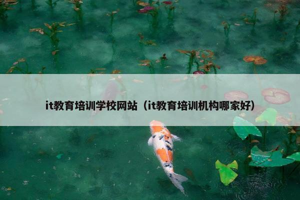 it教育培训学校网站（it教育培训机构哪家好）