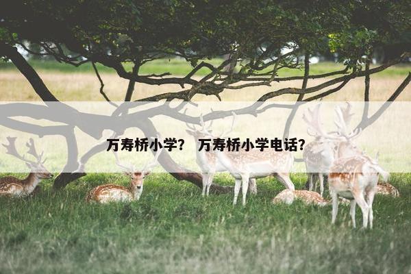 万寿桥小学？ 万寿桥小学电话？