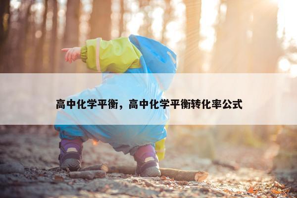 高中化学平衡，高中化学平衡转化率公式