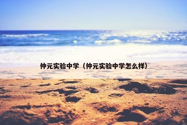 仲元实验中学（仲元实验中学怎么样）