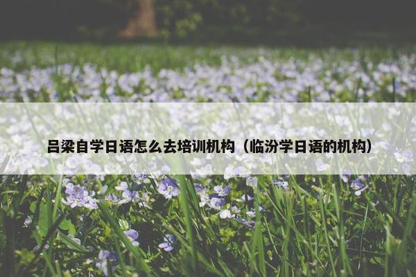 吕梁自学日语怎么去培训机构（临汾学日语的机构）