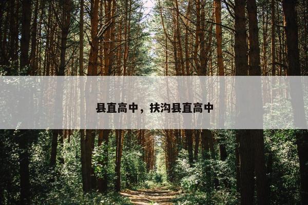 县直高中，扶沟县直高中
