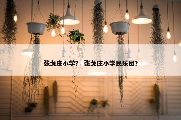 张戈庄小学？ 张戈庄小学民乐团？