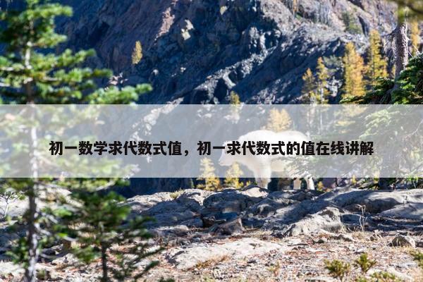 初一数学求代数式值，初一求代数式的值在线讲解
