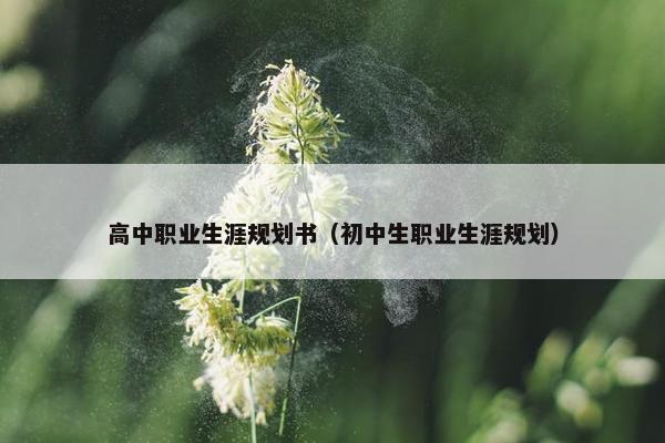 高中职业生涯规划书（初中生职业生涯规划）