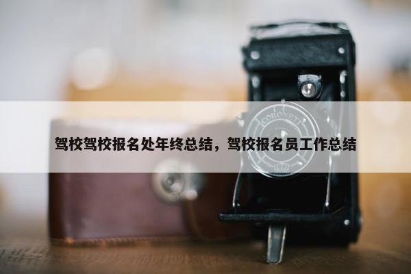 驾校驾校报名处年终总结，驾校报名员工作总结